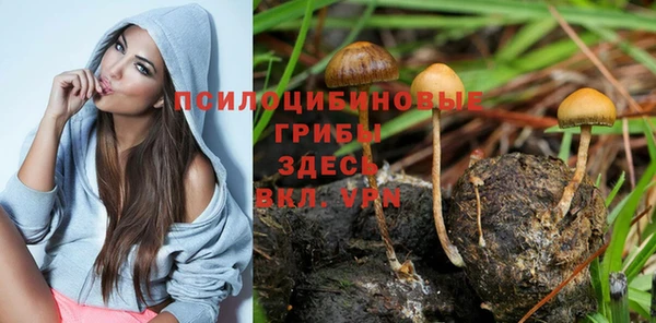 mdma Володарск