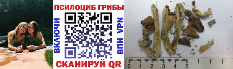 Галлюциногенные грибы мицелий Абакан